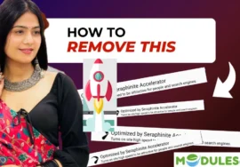 Remove Seraphinite Accelerator Copyright