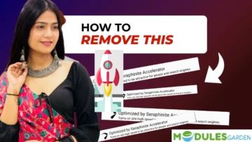 Remove Seraphinite Accelerator Copyright