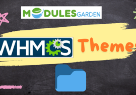 Top 10 WHMCS themes