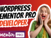 Where to Find a WordPress Elementor Pro Developer in 2025